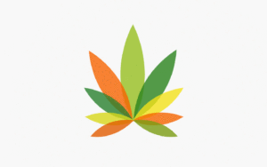 cbd-cannabis-guide